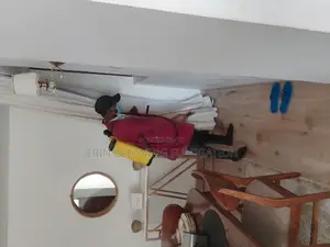 Very Cheap Fumigation Services