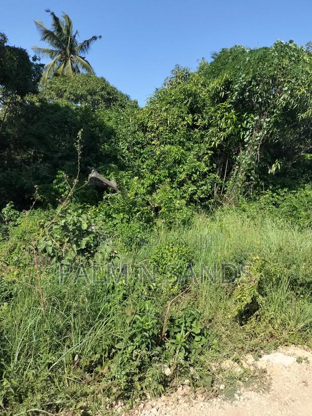 5.9 Acre Prime Land in South Coast - thumbnail 6