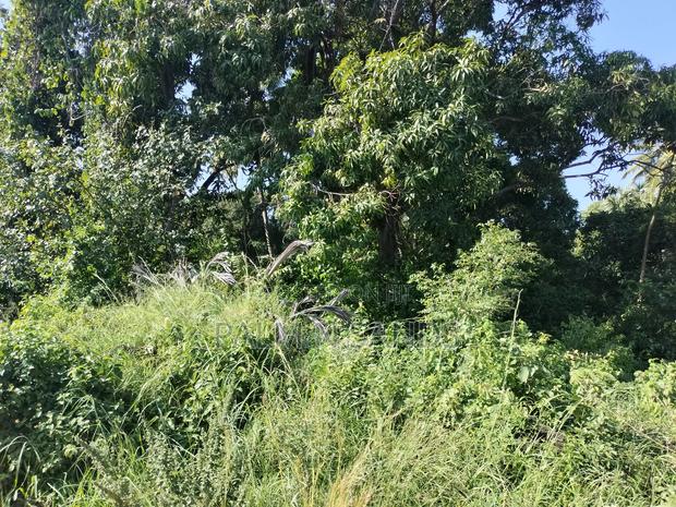 5.9 Acre Prime Land in South Coast - thumbnail 8