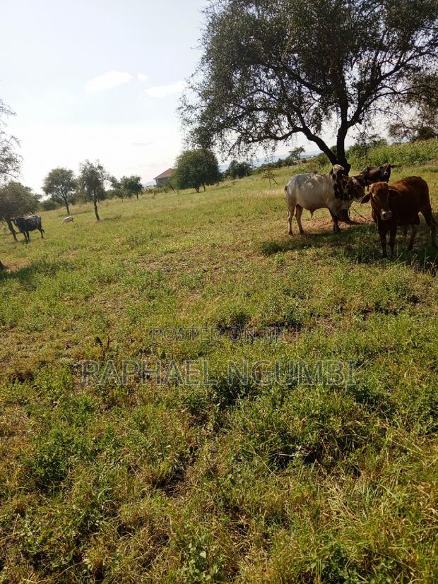 Prime 3.5 Acres at Machakos Katumani Road. - thumbnail 3