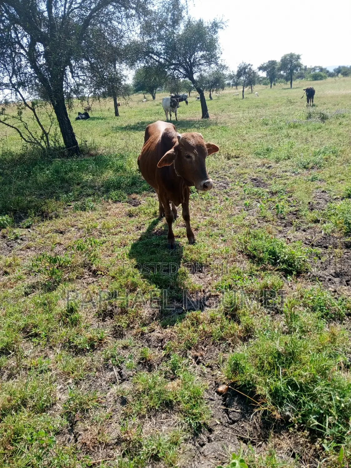 Prime 3.5 Acres at Machakos Katumani Road.