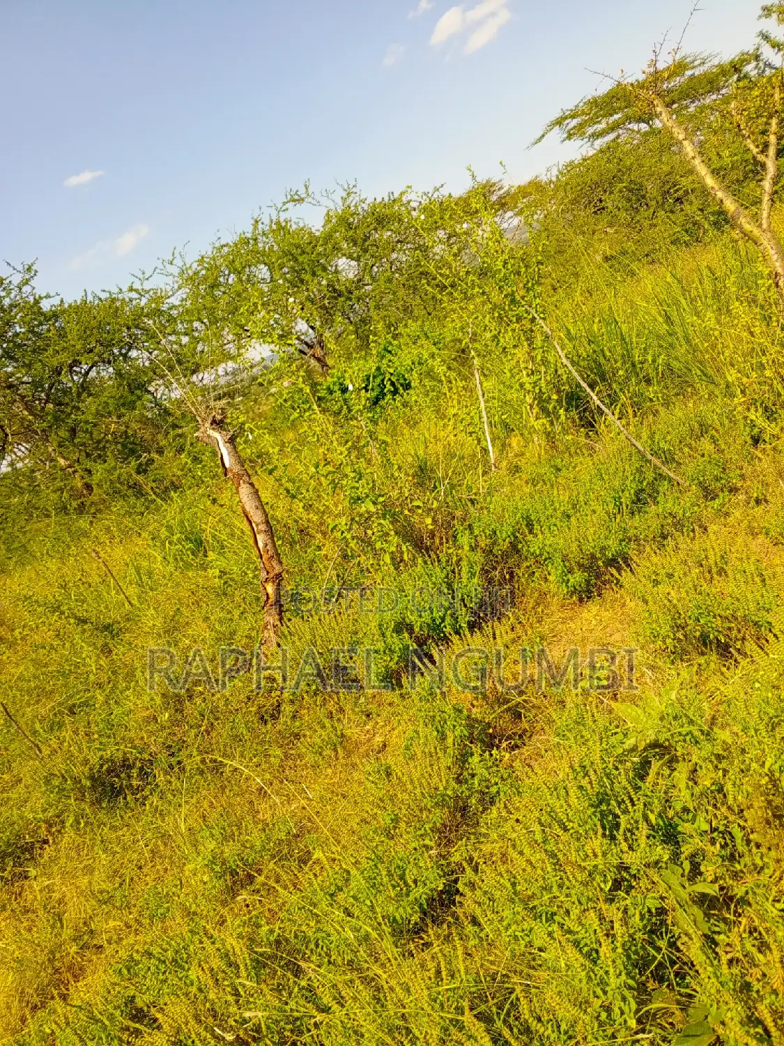 5 Acres Touching Machakos Katumani Road