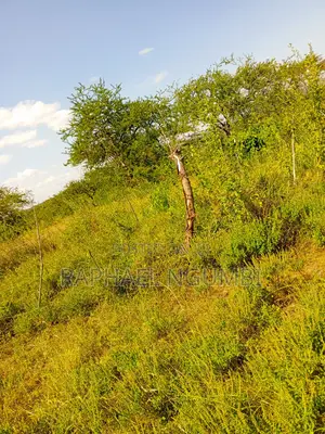 5 Acres Touching Machakos Katumani Road