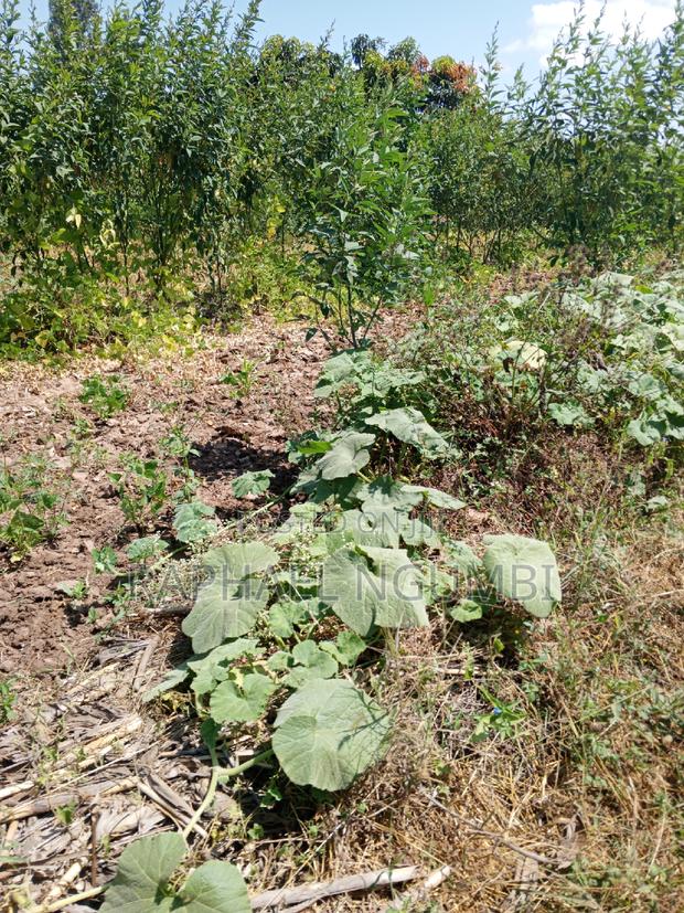 Two (2) Acres at Machakos Vota