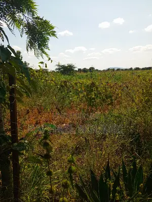 Two (2) Acres at Machakos Vota