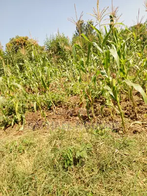 Two (2) Acres at Machakos Vota
