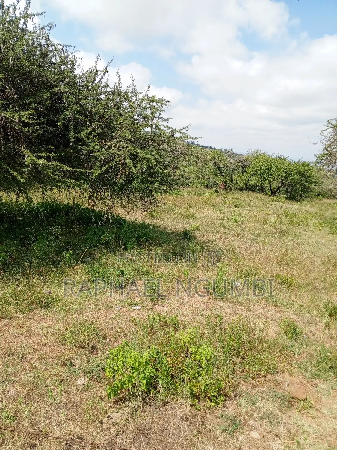 Mua Hills 3 Acres