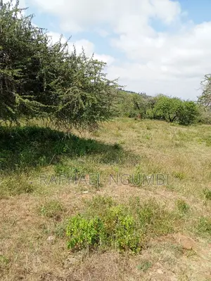 Mua Hills 3 Acres