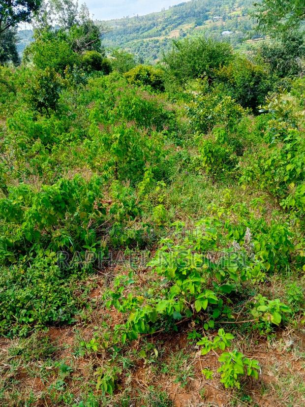 Mua 5 Acres at Sonko Area - thumbnail 3