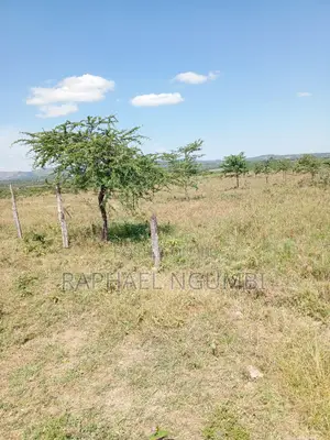 Mua Hills 5-10 Acres