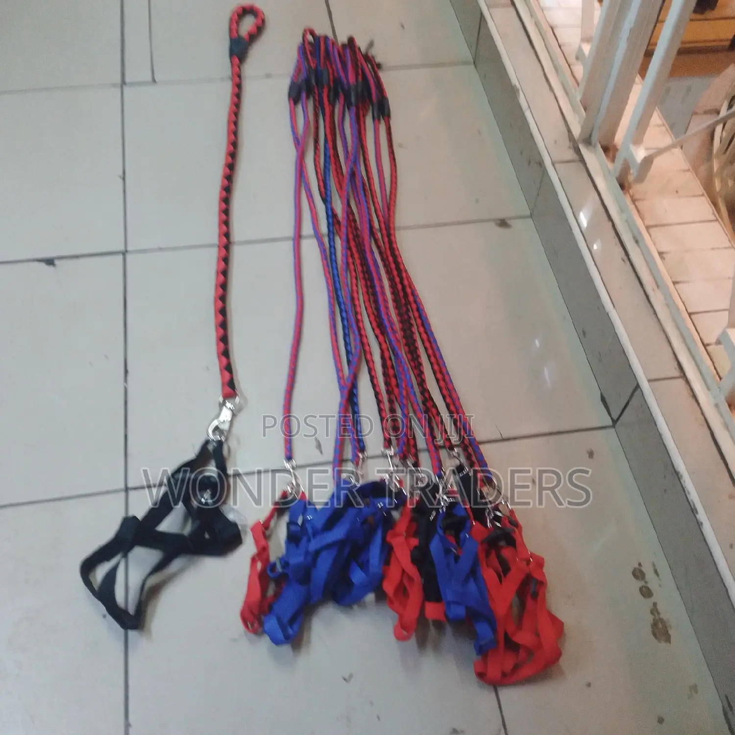 Dog Lease /Loop and Harness