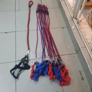 Dog Lease /Loop and Harness