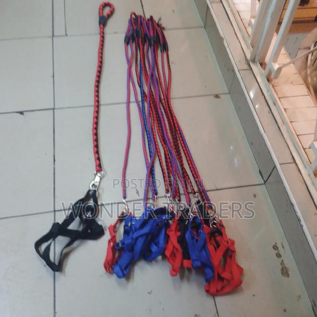 Dog Lease /Loop and Harness - main view