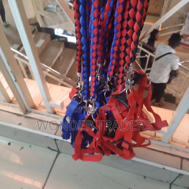 Dog Leashes for Small and Medium Dog Sizes. - main view