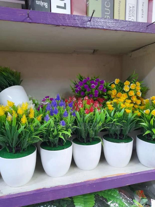 Coloured Bonsai Potted Flowers