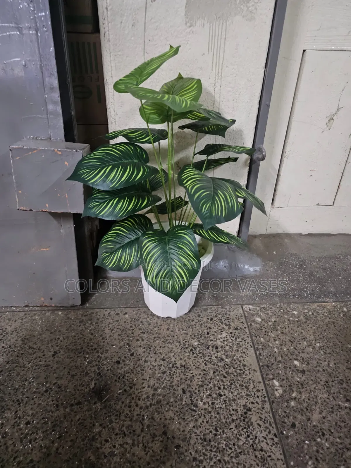 Plastic Vase, Plant and White Decorative Stones