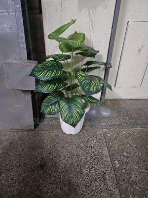 Plastic Vase, Plant and White Decorative Stones - thumbnail 2