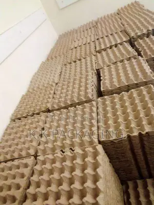 100pcs at 1500 Carton Trays