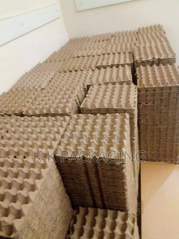 100pcs at 1500 Carton Trays