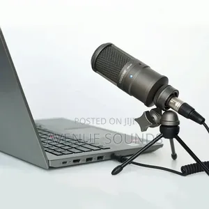 Takstar Professional Studio Condenser Mic