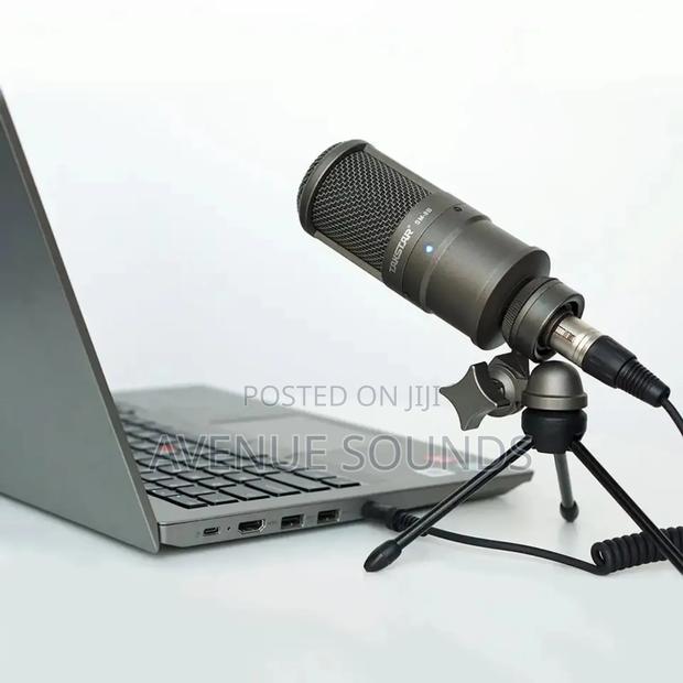 Takstar Professional Studio Condenser Mic - thumbnail 3