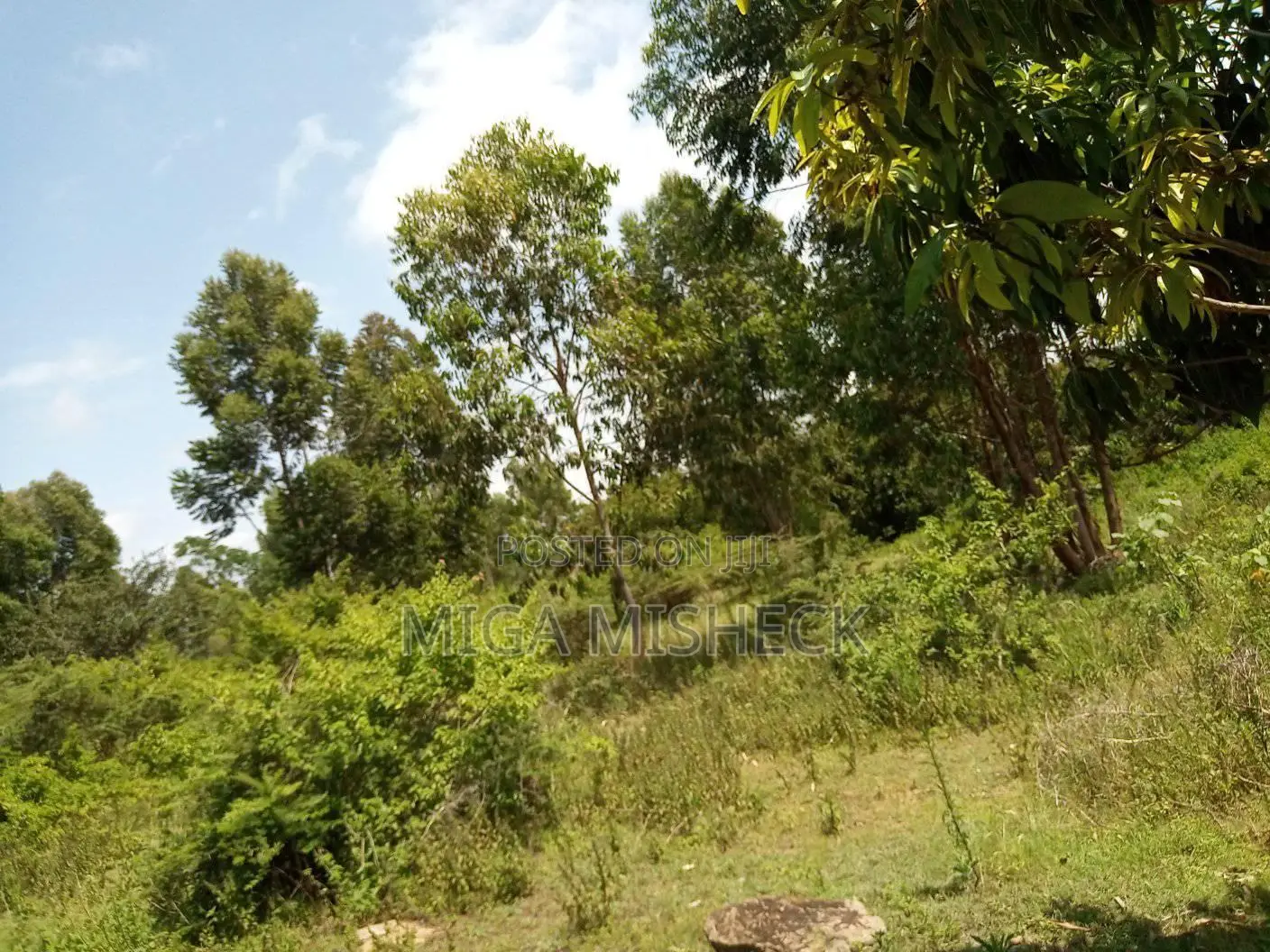 0.5acre of Land for Sale