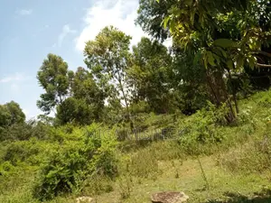 0.5acre of Land for Sale