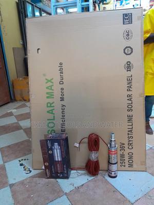 Solar Pump + Panel 250 Watts 50m Head #Water Pump - thumbnail 2