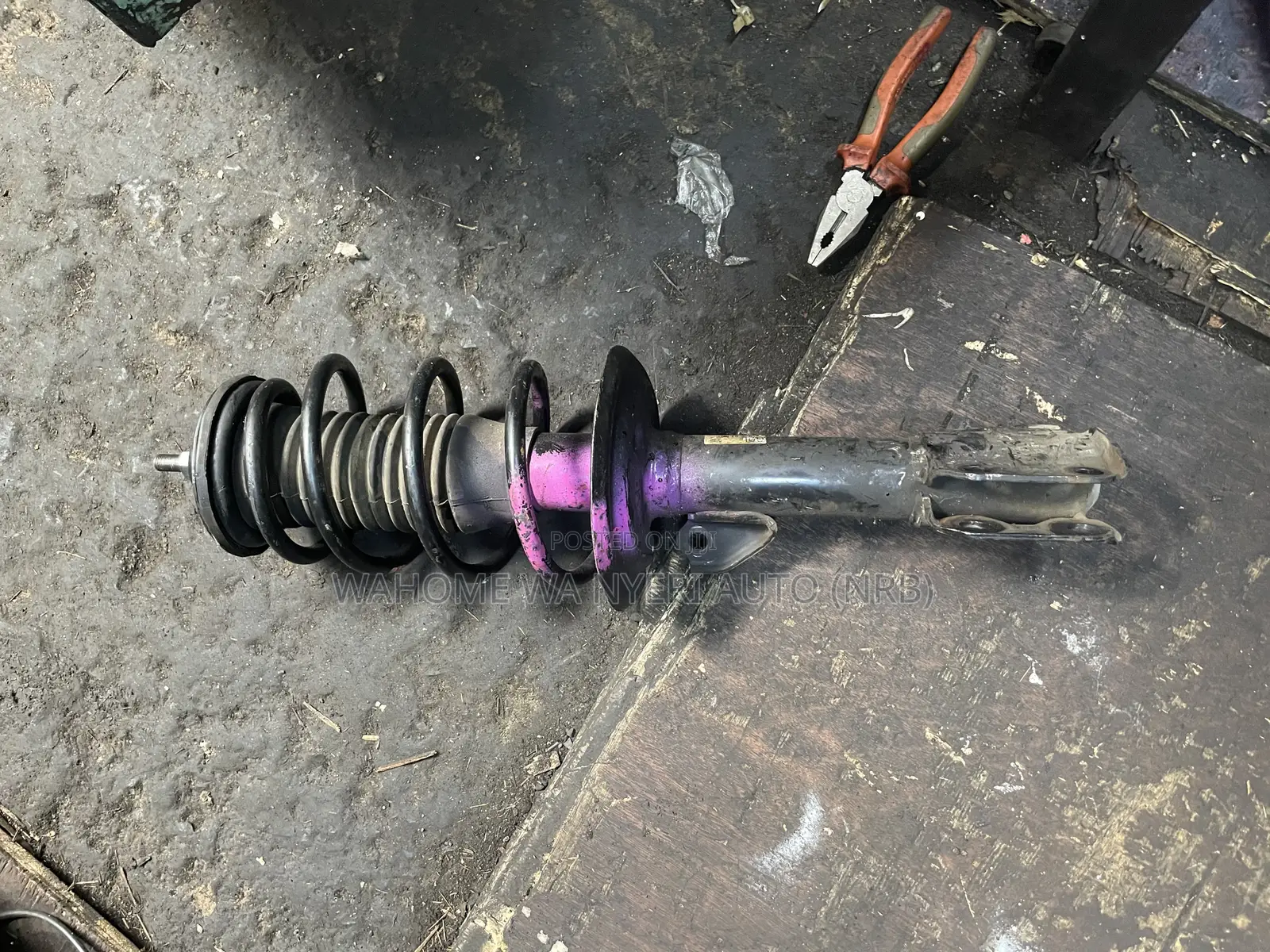 Complete Shock for Belta