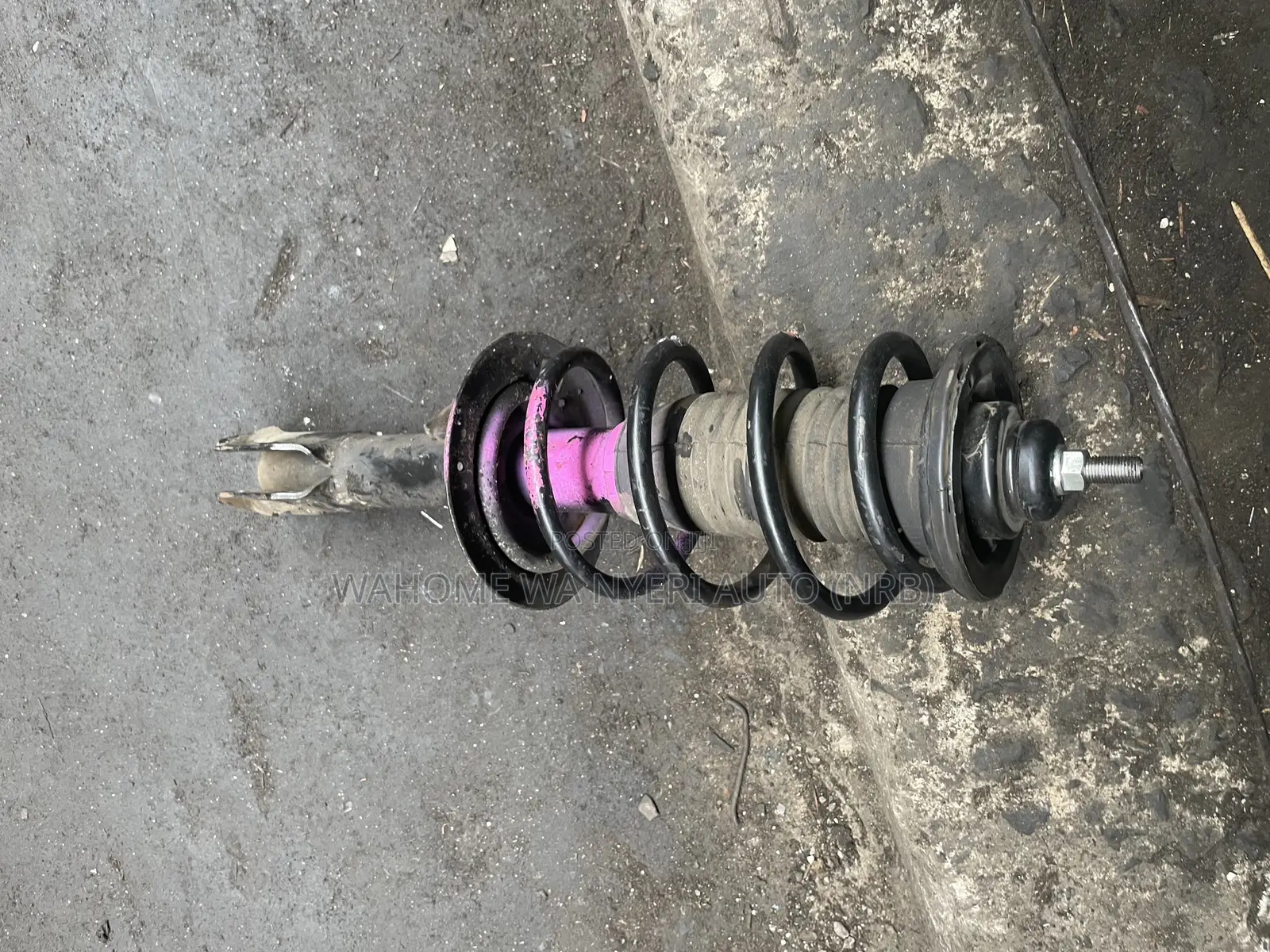 Complete Shock for Belta