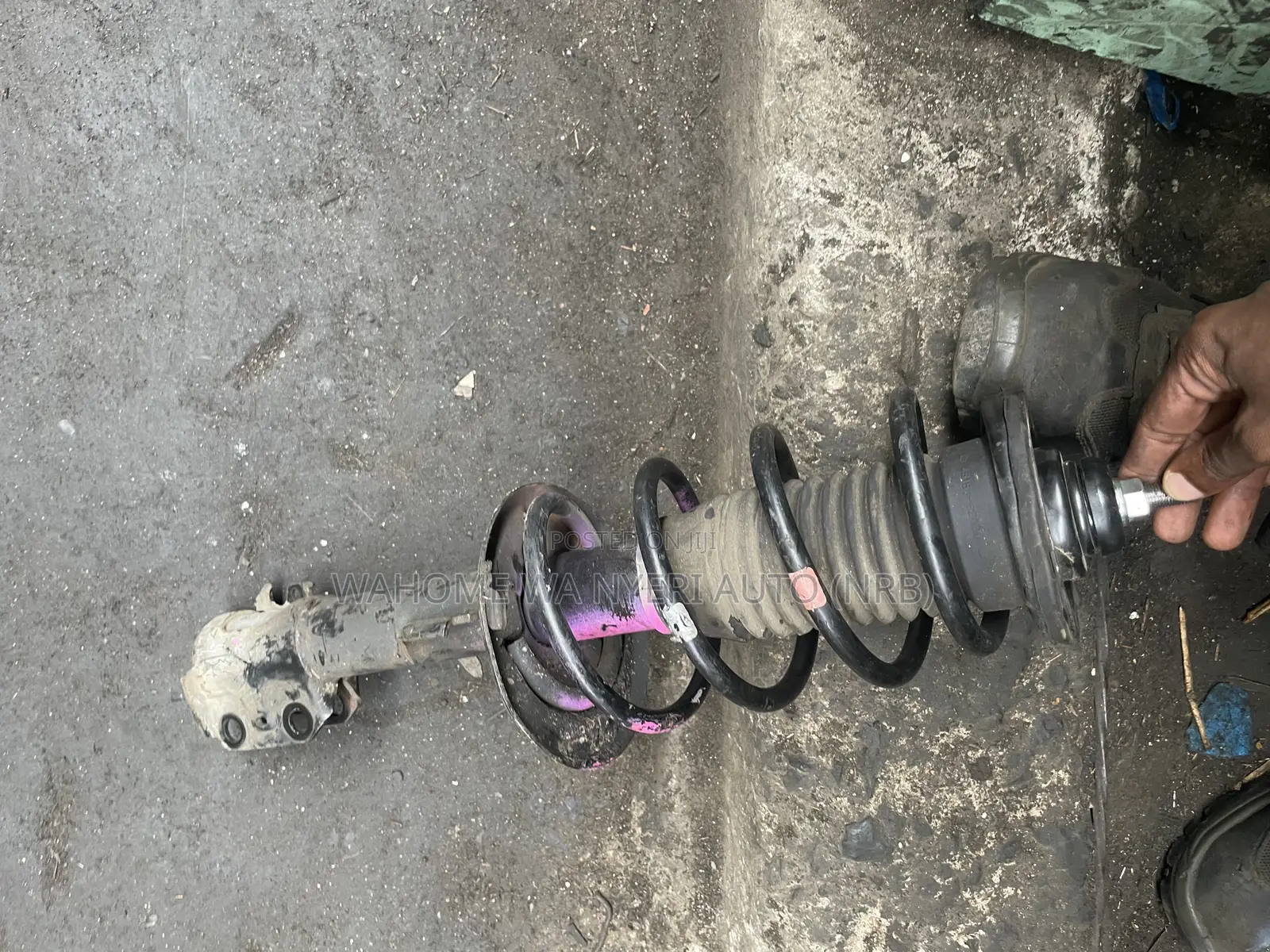 Complete Shock for Belta