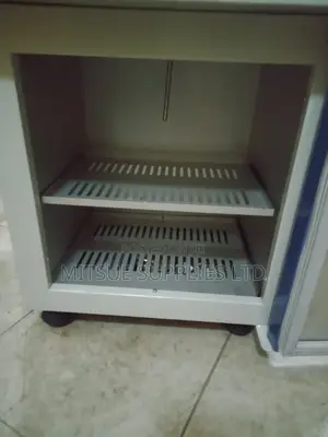 Electrical Digital Incubator 20L China