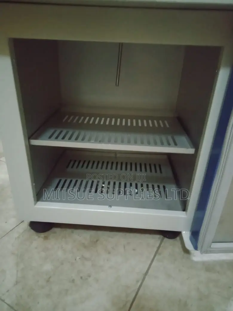 Electrical Digital Incubator 20L China