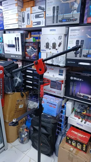Profesional Stand With Two Mic Holders