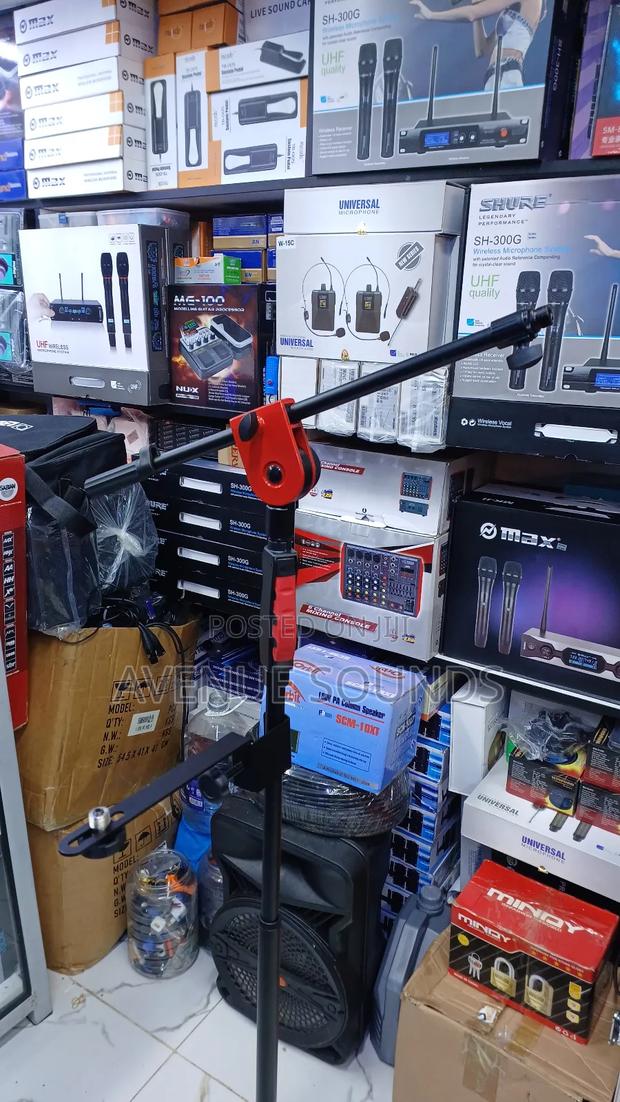 Profesional Stand With Two Mic Holders