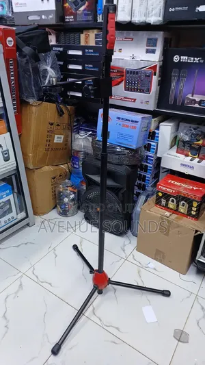 Profesional Stand With Two Mic Holders