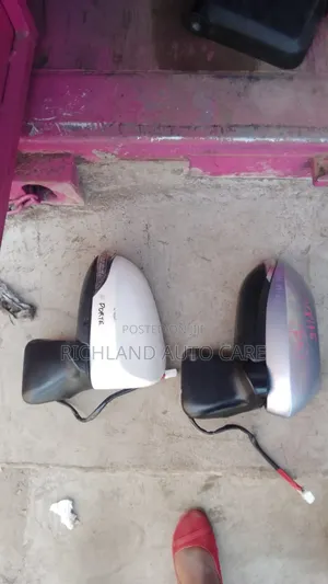 Side Mirror Porte 2015