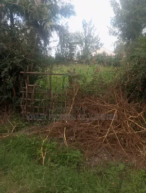 Beautiful Quarter Acre for Sale in Syokimau