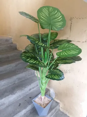 1.6. Long Plant With Vase KSH 7500.