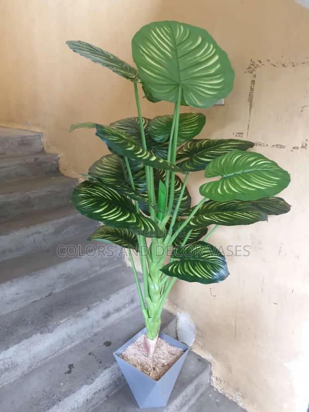 1.6. Long Plant With Vase KSH 7500.