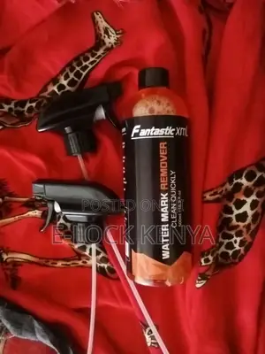 Efficient Car Watermark Remover With Spraying Gun