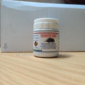 Rudentas Fixer - thumbnail 2