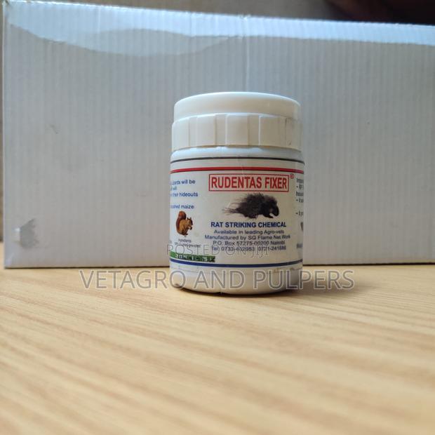 Rudentas Fixer - main view