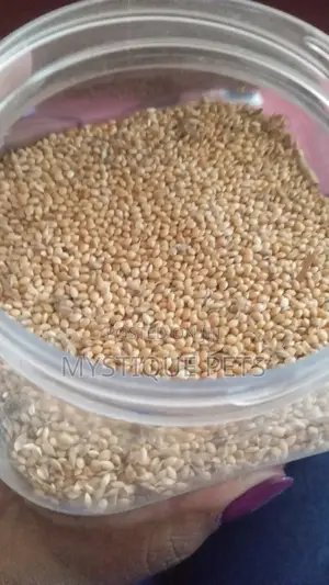 Fox Millets
