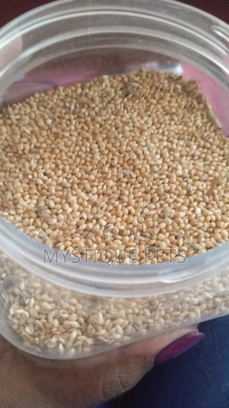 Fox Millets
