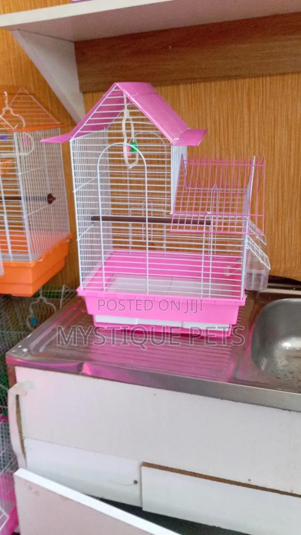 Bird Cages - main view