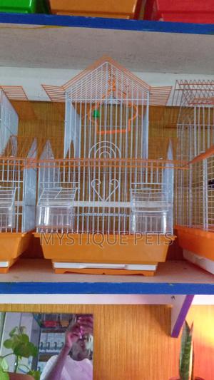 Bird Cages - thumbnail 2
