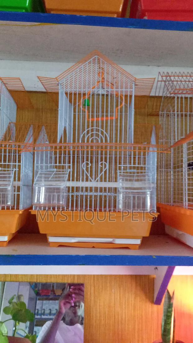 Bird Cages - main view