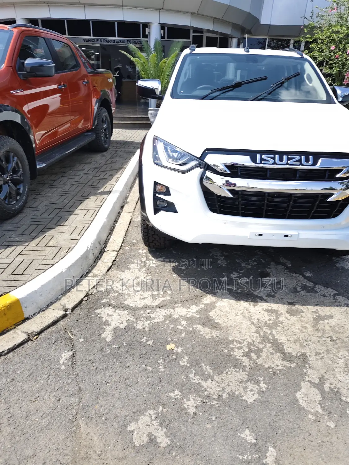 New Isuzu D-MAX 2024 White