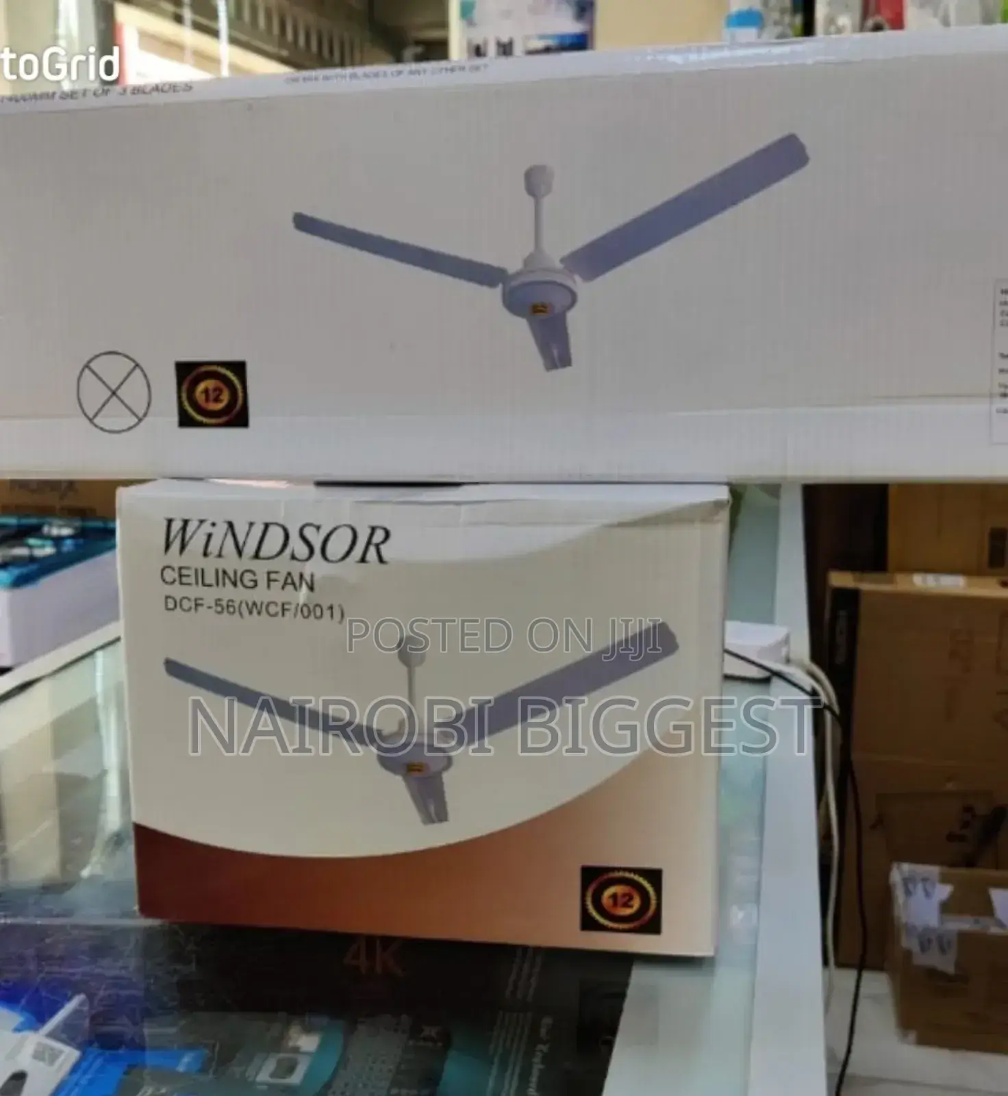 Windsor 56" Best Ceiling Fan